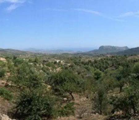 One Bed Apartment Overlooking Jalon Valley, Costa Blanca Alcalalí Exterior photo